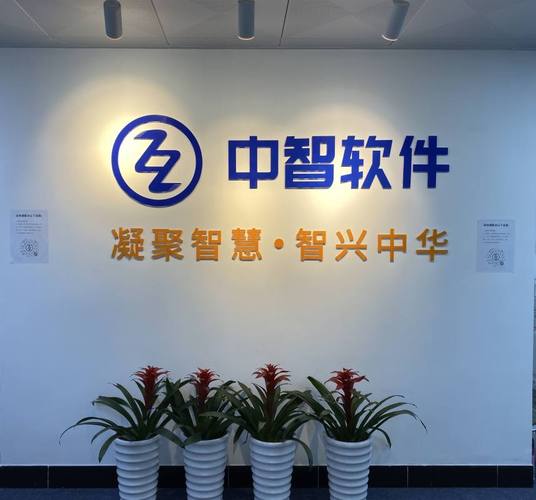 廣州市中智軟件開發(fā)